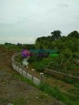 Đường Quốc lộ 21A, Thạch Thất, TP. Hà Nội