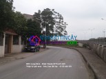 Phường Phúc Đồng, Long Biên, TP. Hà Nội