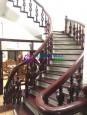 Đường Nguyễn Văn Cừ, Long Biên, TP. Hà Nội