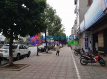 Phường Đức Giang, Long Biên, TP. Hà Nội